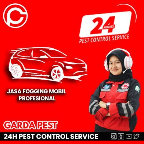 Pest Control di Bandung Kota
