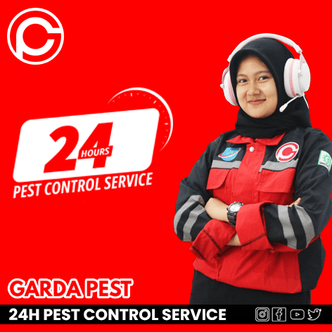Pest Control Jakarta