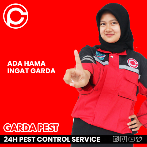 Perusahaan Pest Control di Jakarta Selatan