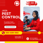 Jasa Pembasmi Hama Bandung