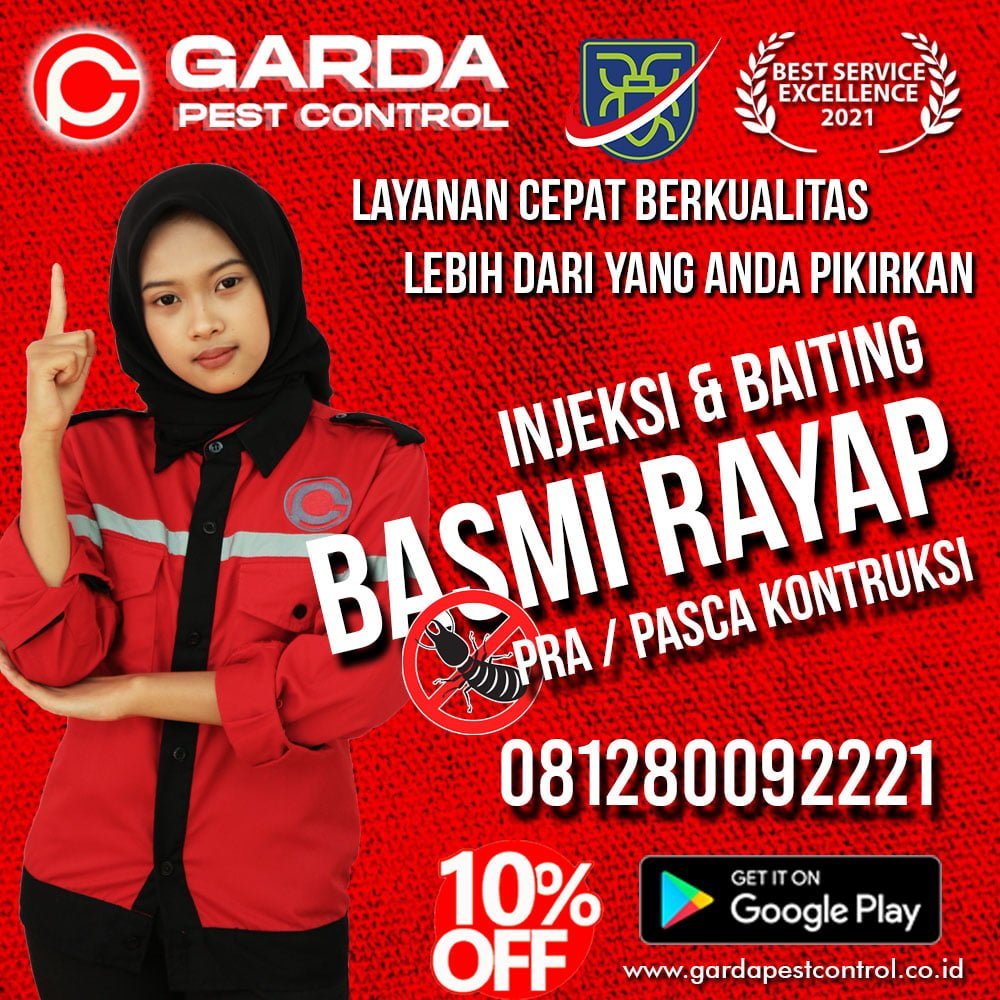 Jasa Anti Rayap Jakarta Utara
