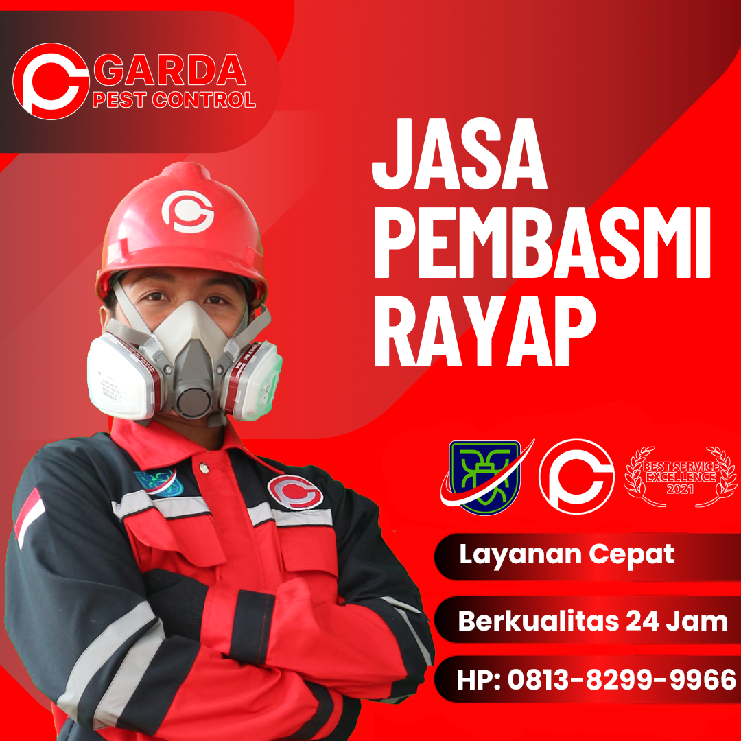 Jasa Anti Rayap di Bali Bergaransi