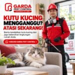 Jasa Pembasmi Kutu Kucing di Umbulharjo