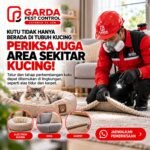 Jasa Basmi Kutu Kucing di Jakarta