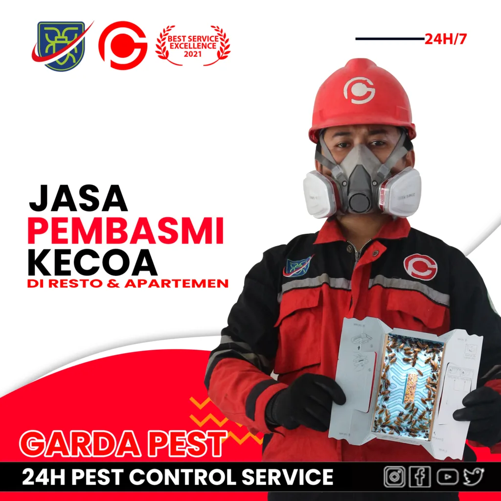 Jasa Pembasmi Kecoa Tegal Tuntas Berkualitas