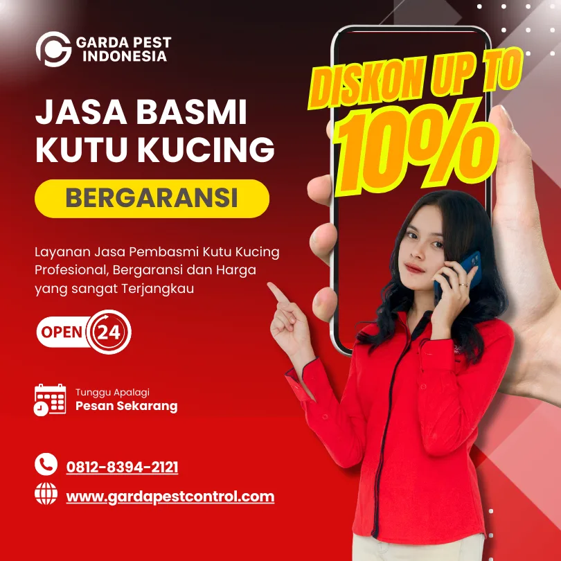 Jasa Pembasmi Kutu Kasur di Pekalongan Murah Bergaransi