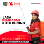 Jasa Pembasmi Kutu Kucing Termurah