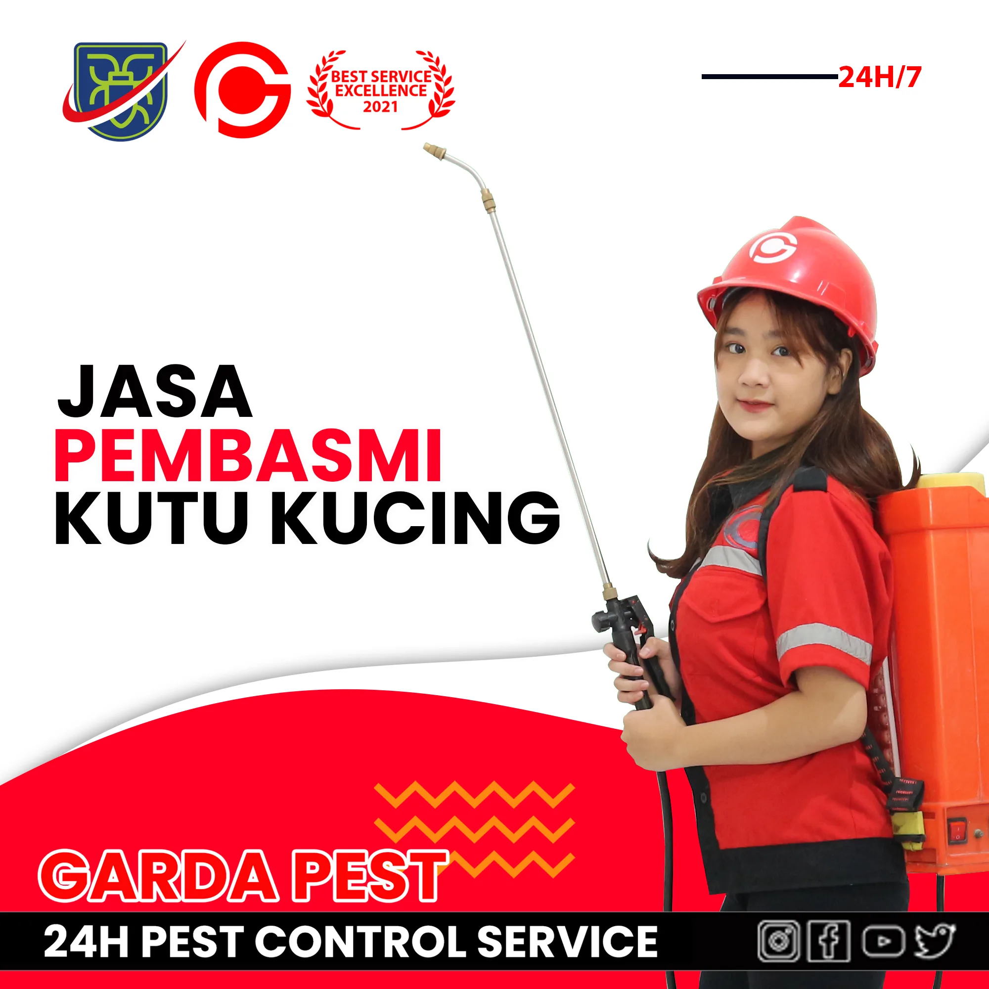 Layanan Pembasmi Kutu Kucing Bandung