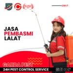 Jasa Pembasmi Lalat