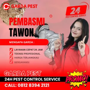 Jasa Pembasmi Tawon di Batam yang Profesional Jasa Pembasmi Tawon di Batam yang Profesional