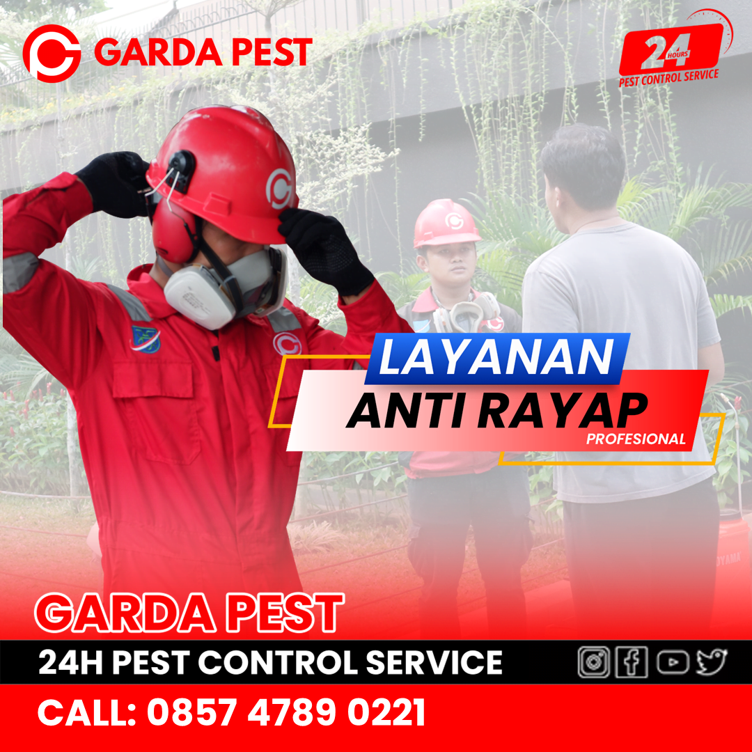 Jasa Anti Rayap Terdekat Sekitar Anda
