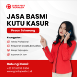 Jasa Pembasmi Kutu Busuk Cirebon : Murah Pisan Jasa Pembasmi Kutu Kasur Terdekat