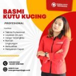 Jasa Fogging Kutu Kucing Jogja