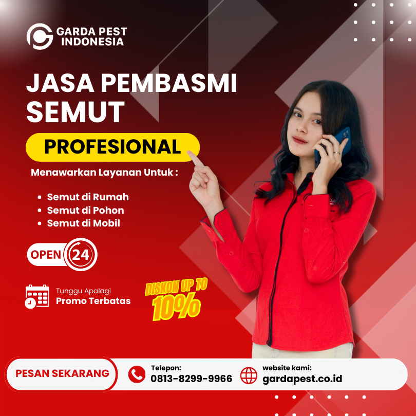 Jasa Pembasmi Semut Solo | Harga Terjangkau