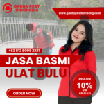 Jasa Pembasmi Ulat Bulu di Bali