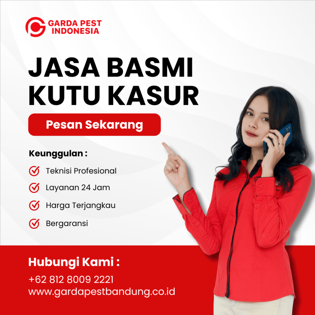Jasa Pembasmi Kutu Kasur Garut