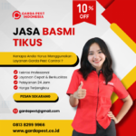 Jasa Pembasmi Tikus di Rumah