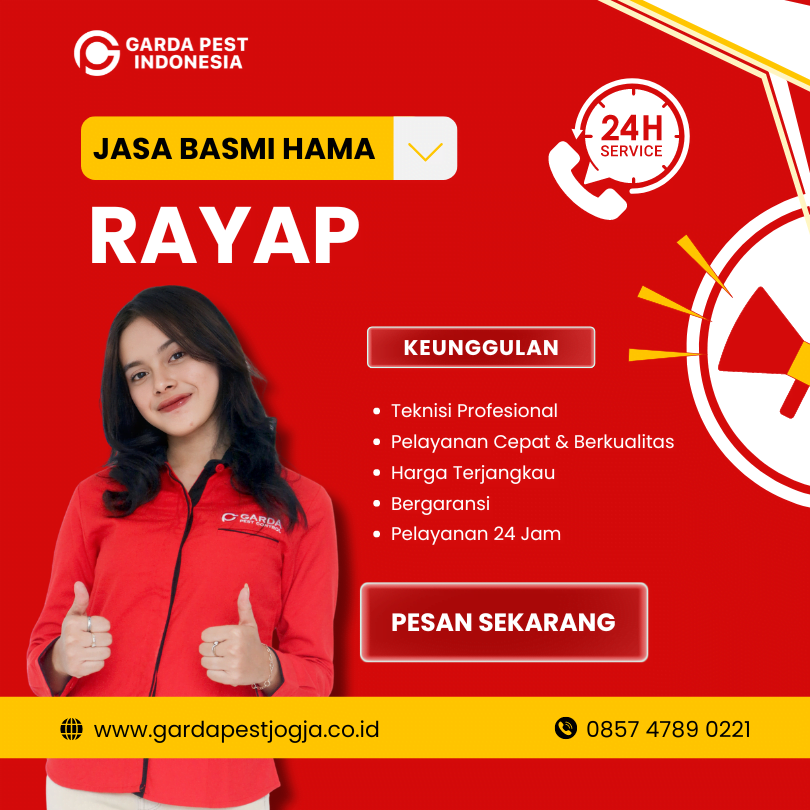 Jasa Pembasmi Rayap Solo