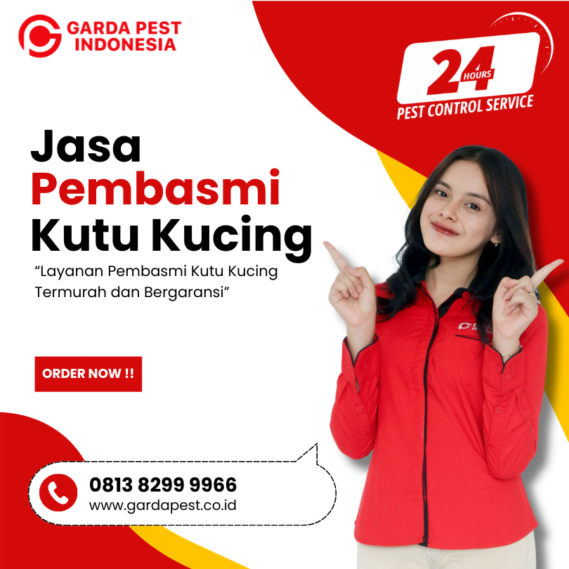 Jasa Pembersih Kutu Kucing Pekanbaru