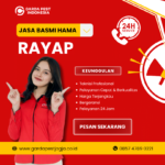 Jasa Pembasmi Rayap di Jogja