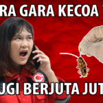 GARA GARA KECOA