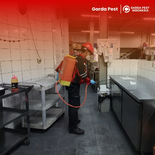 Jasa Pembasmi Kecoa Kuningan Hemat Terpercaya
