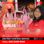 Jasa Disinfektan di Kendal Semarang Jasa Disinfektan Cacar Monyet Probolinggo