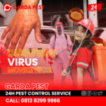 Jasa Disinfektan Cacar Monyet Tasik
