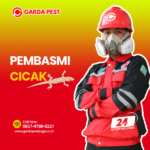 Jasa Pembasmi Cicak Bandung Jasa Pembasmi Cicak di Jogja