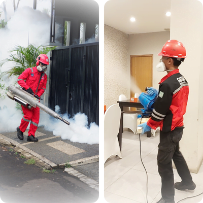 Jasa Pembasmi Nyamuk