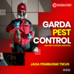 Jasa Pembersih Bangkai Tikus Terdekat Sekitar Anda Jasa Pembasmi Tikus di Jogja Terbaik