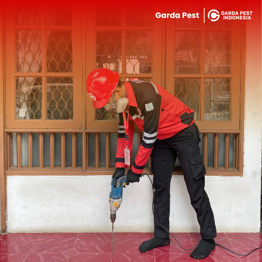 Treatment Anti Rayap