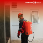 Jasa Pembasmi Kutu Kucing di Bandung : Bergaransi Treatment Kutu Kucing