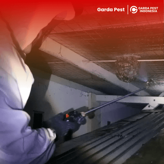 Jasa Pembasmi Tawon Vespa di Bekasi