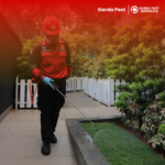 Jasa Pembasmi Ulat Bulu di Bandung Jasa pembasmi Ulat Bulu Murah