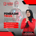 Jasa Pembasmi Tikus di Sleman Jogja Berkualitas Terbaik