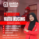 Jasa Pembasmi Kutu Kucing Di Jetis Jogja Layanan 24 Jam