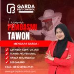 Jasa Pembasmi Tawon Semarang Proses Cepat Bergaransi