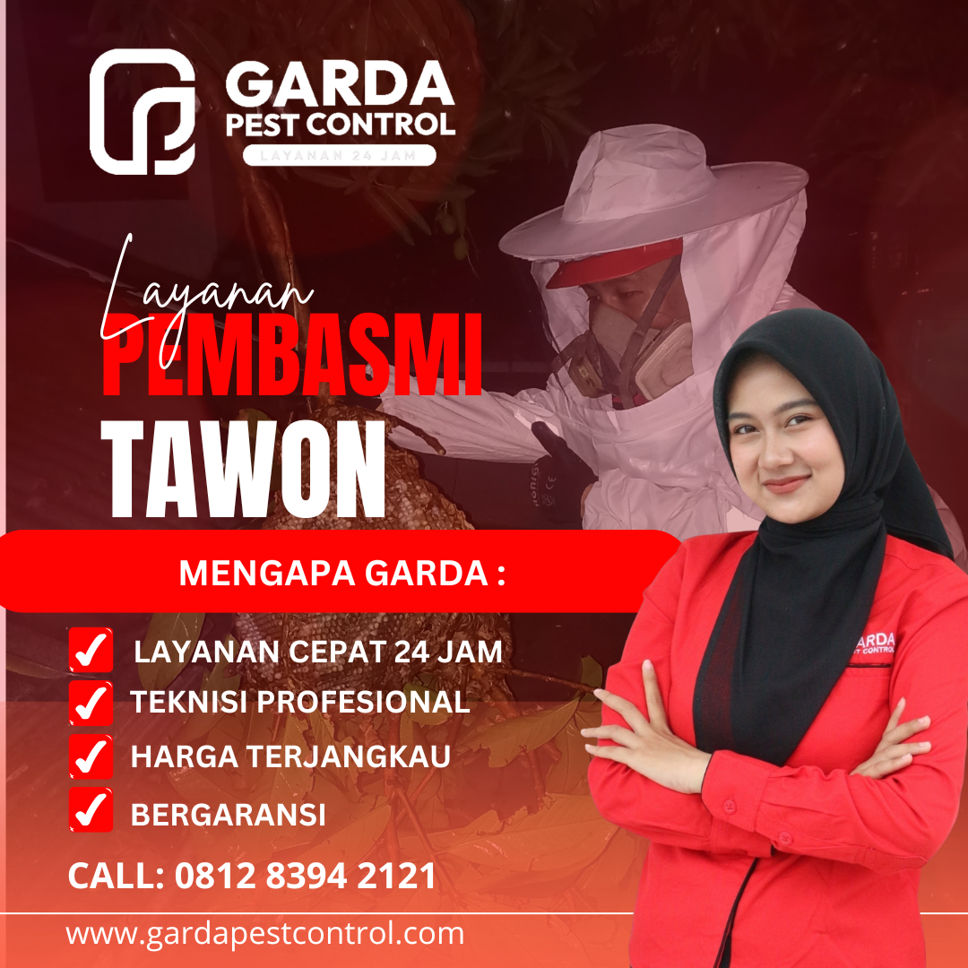 Jasa Pembasmi Tawon Semarang Proses Cepat Bergaransi