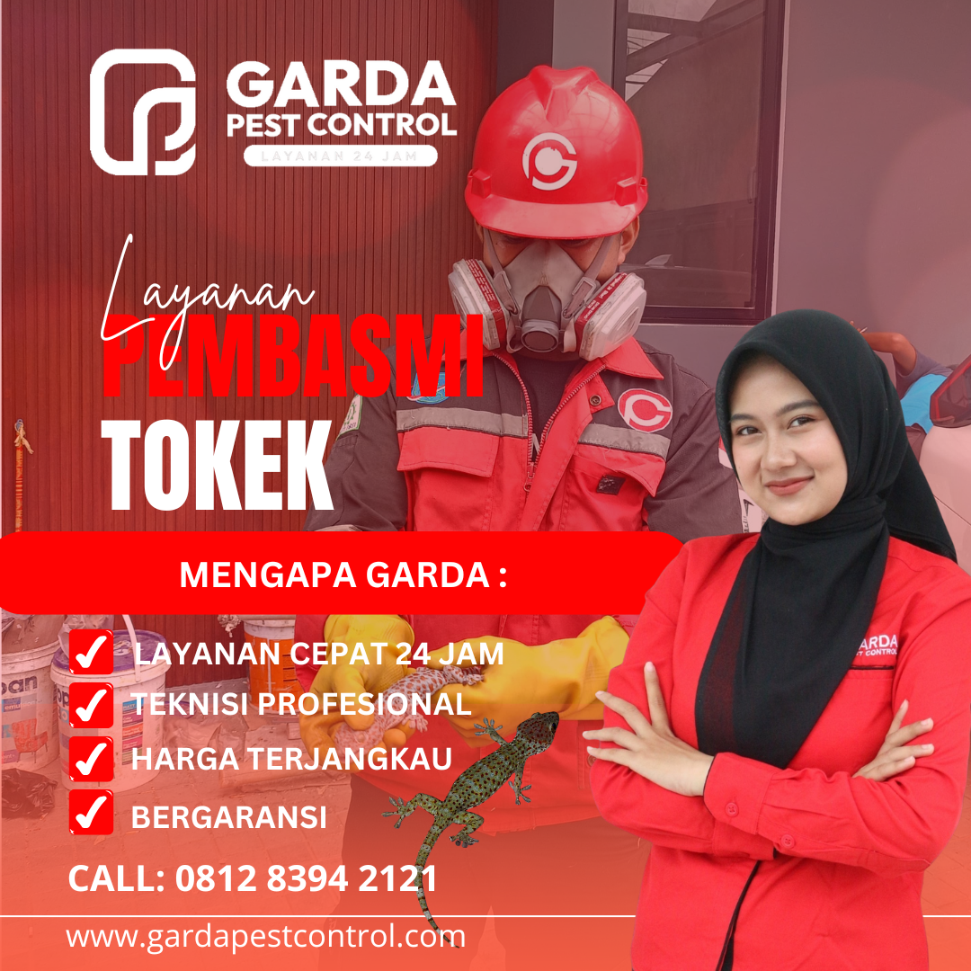 Jasa Tangkap Tokek Terdekat