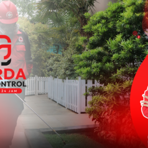 Pest Control Pembasmi lalat terbaik