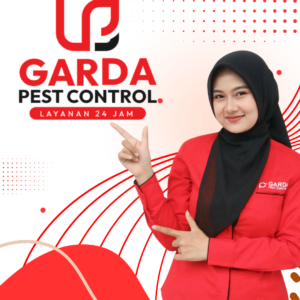 Jasa Basmi Kamitetep Terdekat