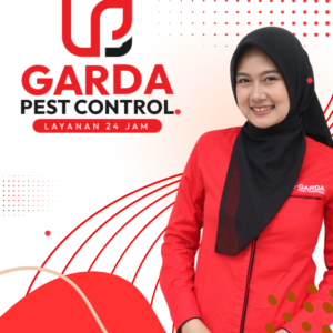 Jasa Pembasmi Semut Terdekat