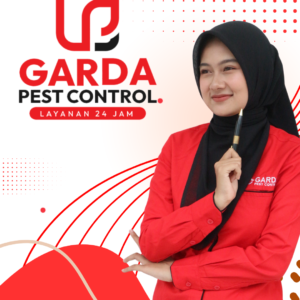 Jasa Basmi Kelalawar Terdekat