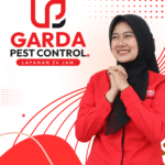 Jasa Fogging Sidoarjo Basmi Tuntas Nyamuk DBD