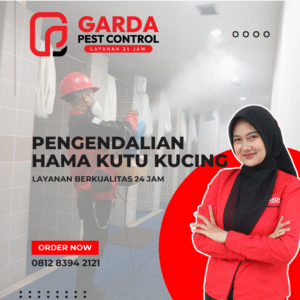 Jasa Pembasmi Kutu Kucing dan Kutu Anjing