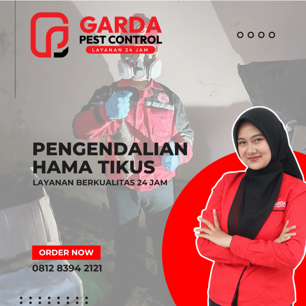 Jasa Pembasmi Hama Tikus di Jogja Kualitas Terjamin