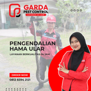 Jasa Tangkap Ular Tercepat