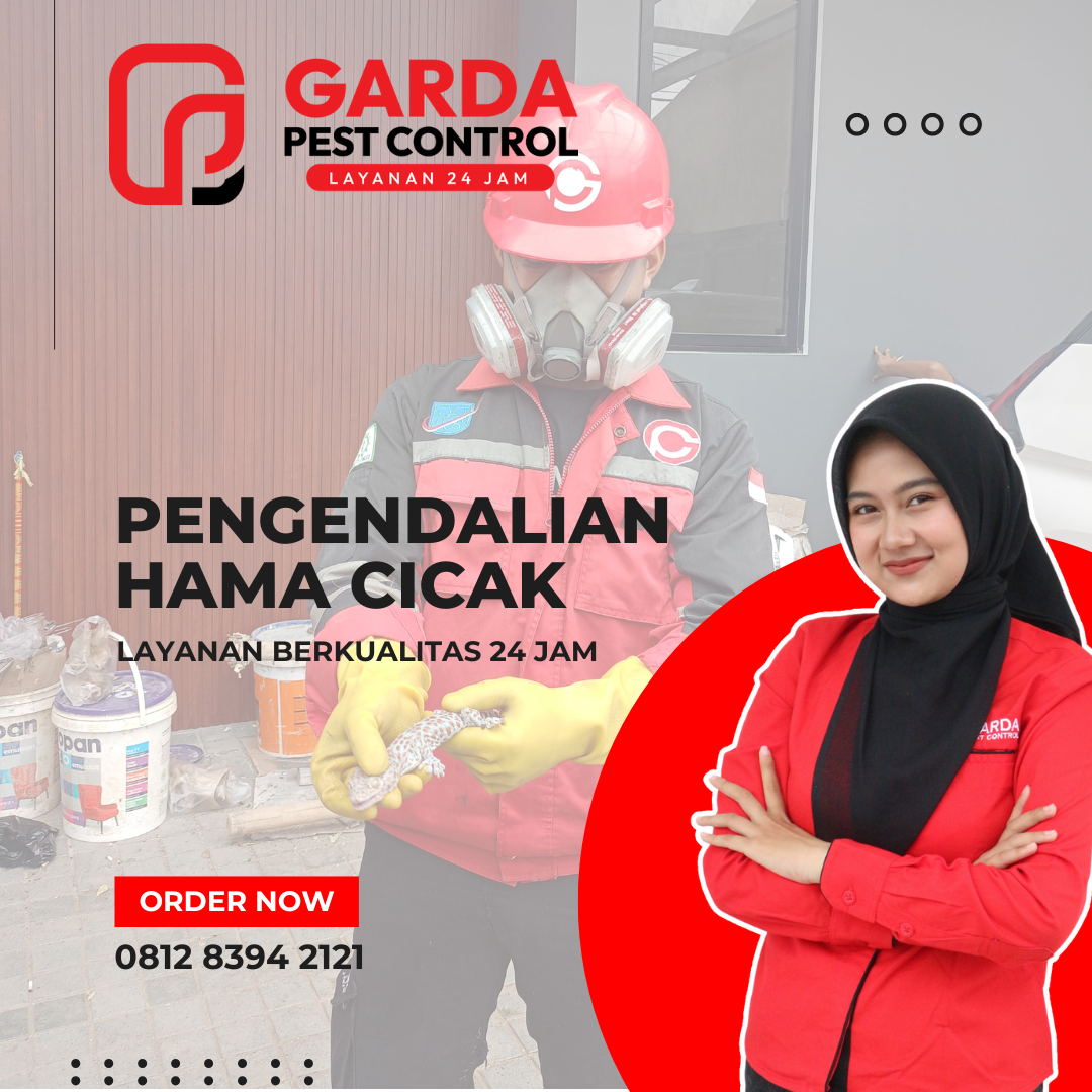 Jasa Pembasmi Cicak Profesional dan Terkemuka