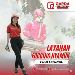 Jasa Fogging Nyamuk Terdekat dan Teknisi Bersertifikat